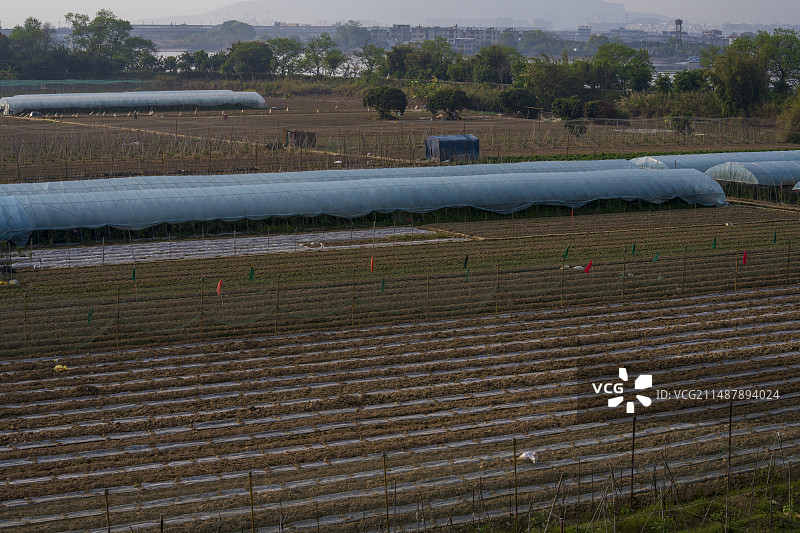 春季新开垦的农田图片素材