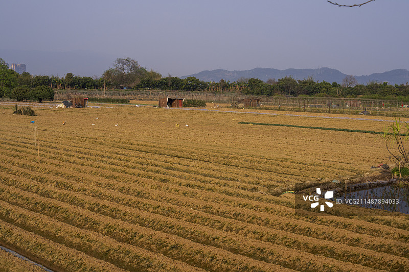 春季新开垦的农田图片素材