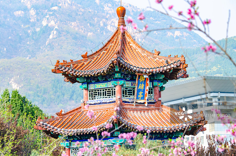 中国山东泰安龙泽湖公园里古老的御碑亭和前景盛开的粉色桃花，户外白昼无人图像摄影图片素材