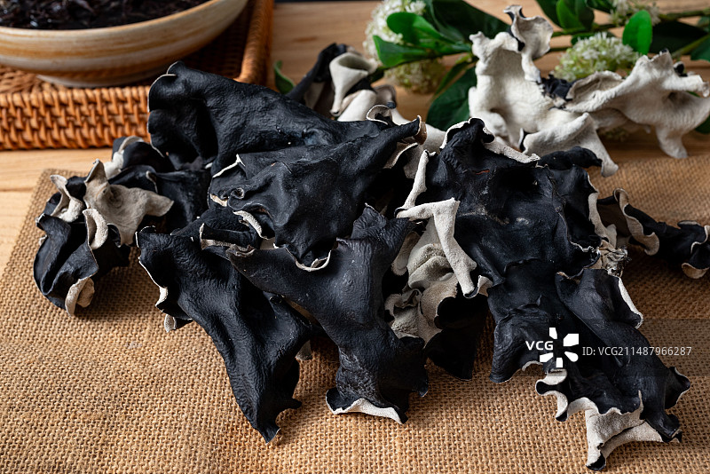 白背黑木耳图片素材