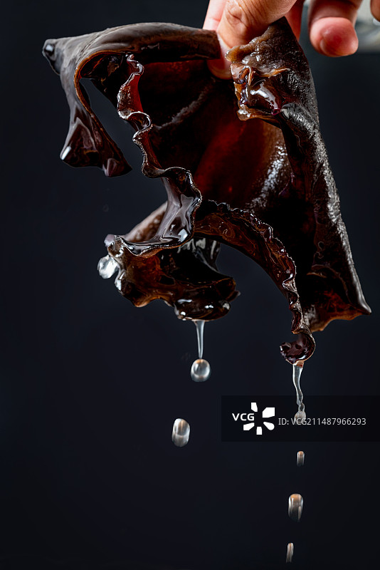 白背黑木耳图片素材