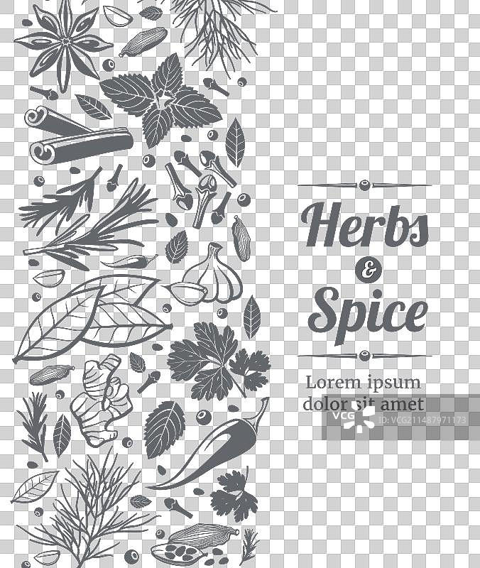 香草和香料装饰背景图片素材