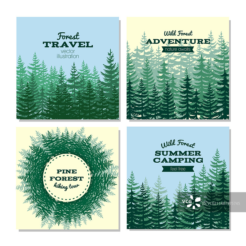 木材风格海报卡片自然野生松树林图片素材