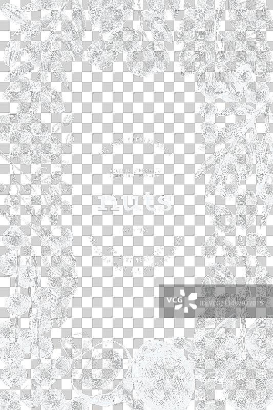 手绘坚果树枝和果仁模板图片素材