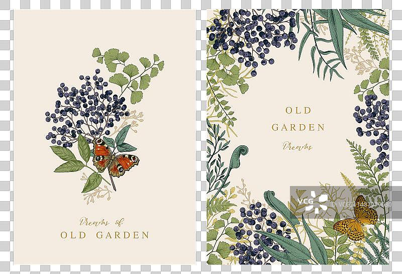 森林花束植物卡片套装图片素材