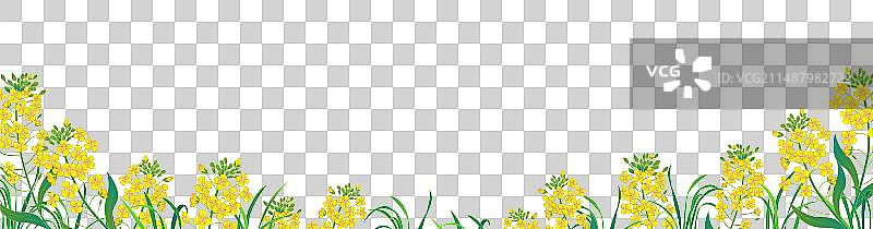 国风油菜花横版插画图片素材