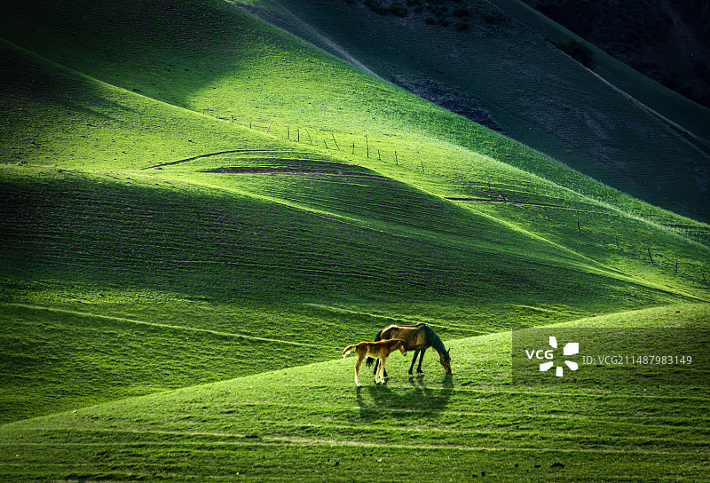 母子相依图片素材