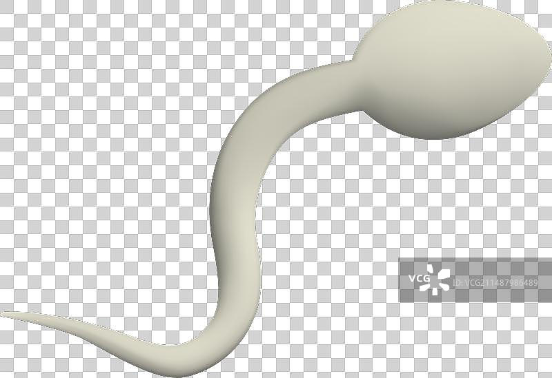 3D白色精子设计图片素材