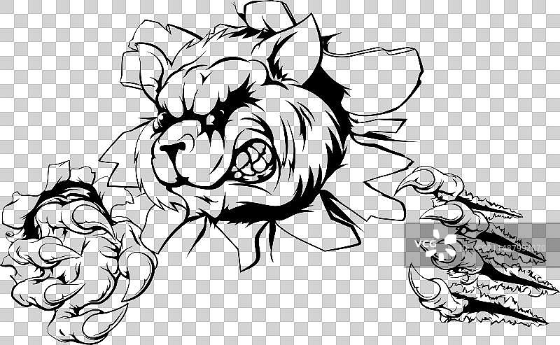 浣熊撕裂背景图片素材