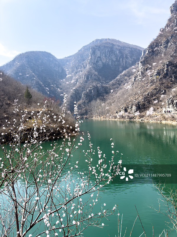 中国河南省辉县太行山黑鹿河水库春季桃花盛开风光图图片素材