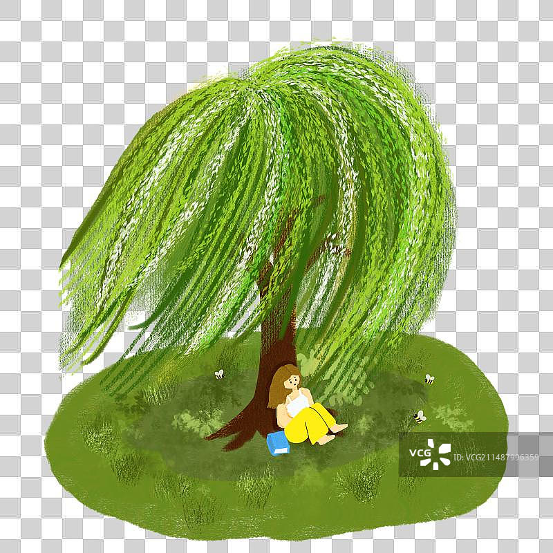 春天柳树下读书图片素材