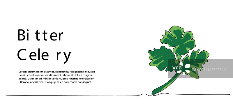 苦味蔬菜单线设计图片素材