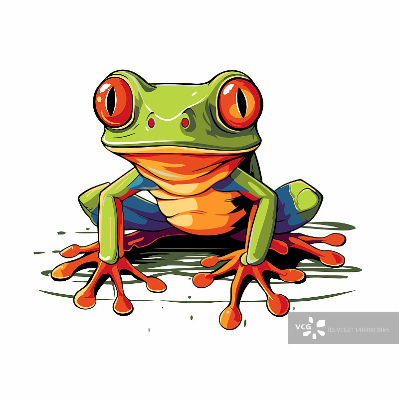 白色背景上的红眼绿青蛙图片素材