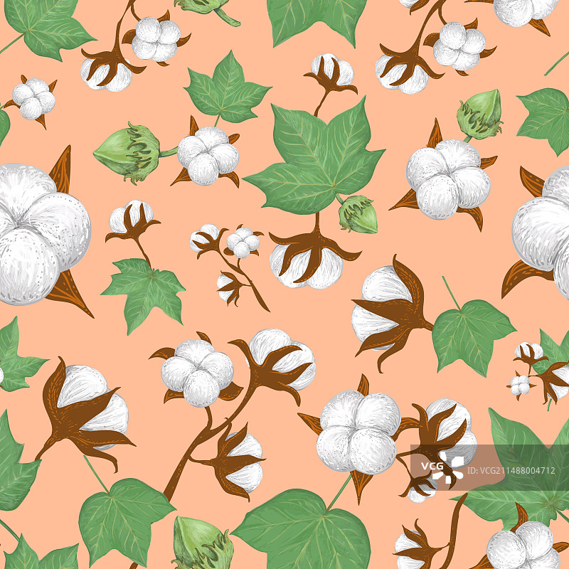 桃色背景上的棉花植物无缝图案图片素材