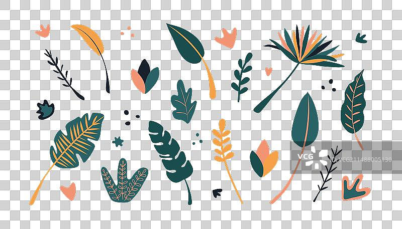 抽象热带树叶图案合集图片素材