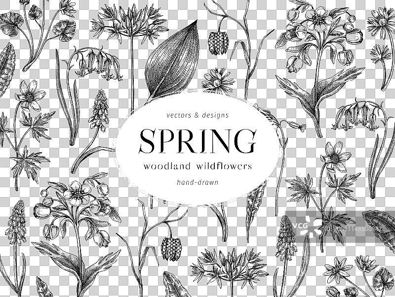 野花写生春花背景图片素材