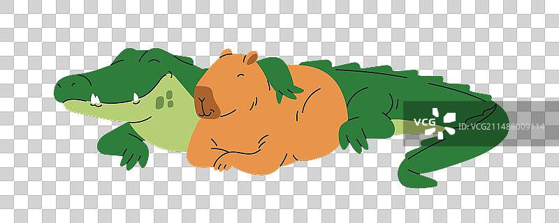 水豚和鳄鱼的有趣动物朋友图片素材