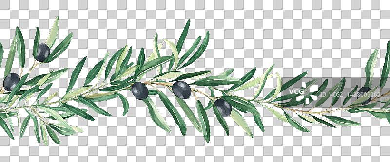 水彩橄榄枝无缝边框banner图片素材