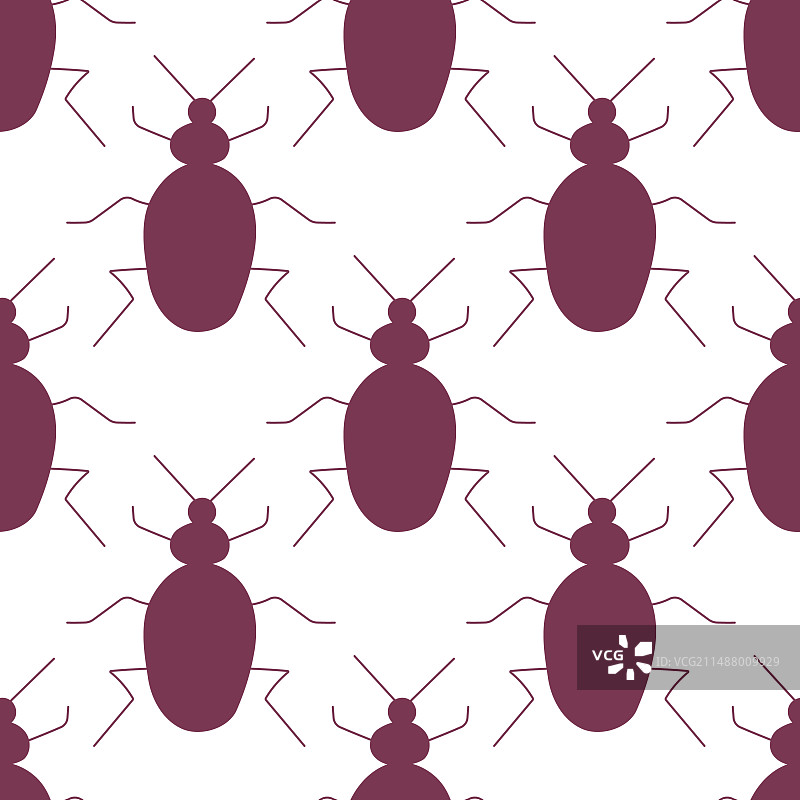 花园昆虫：带胡须的甲虫图片素材