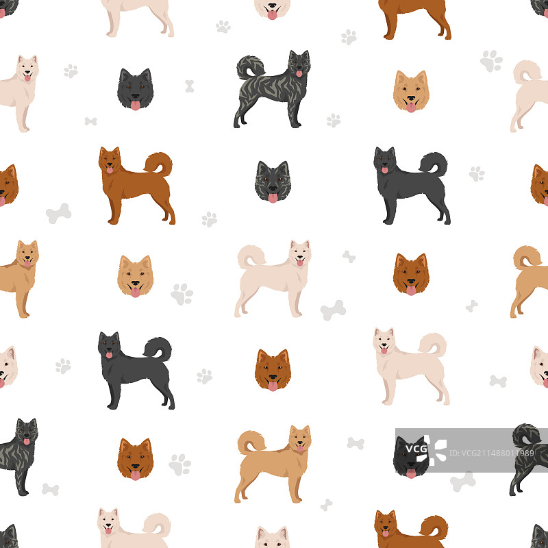 巴厘岛金塔马尼小狗无缝图案图片素材