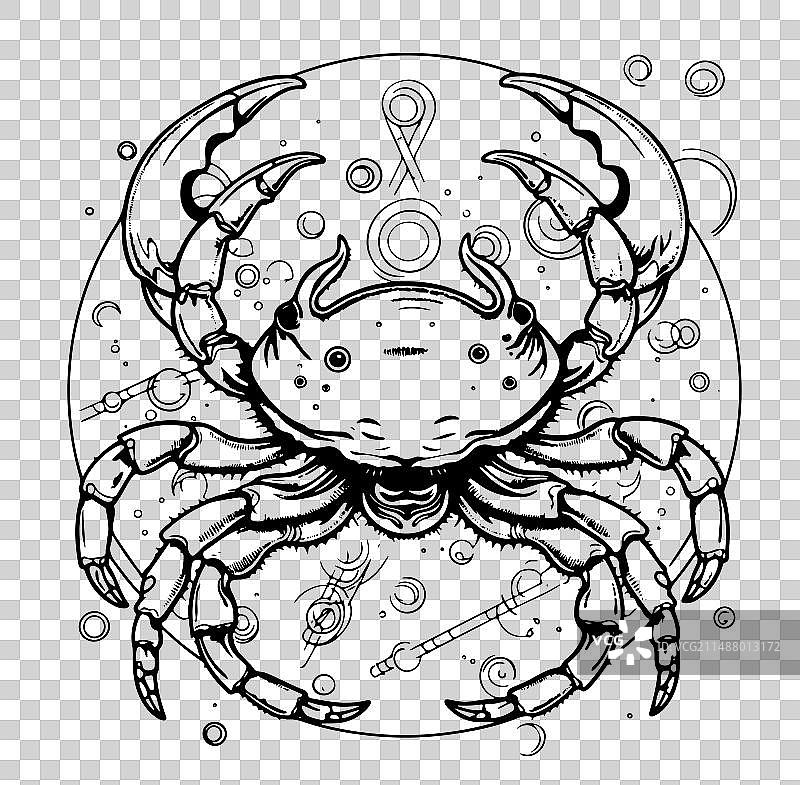 现代魔法巫术卡牌与占星巨蟹座图片素材