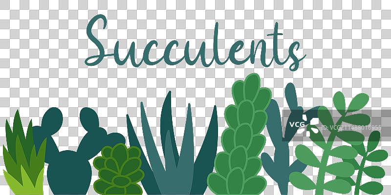 多肉植物背景图片素材