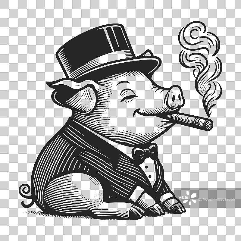 头戴礼帽、抽着雪茄的优雅小猪素描图片素材