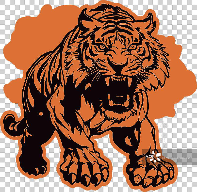 愤怒的老虎咆哮面部图片素材