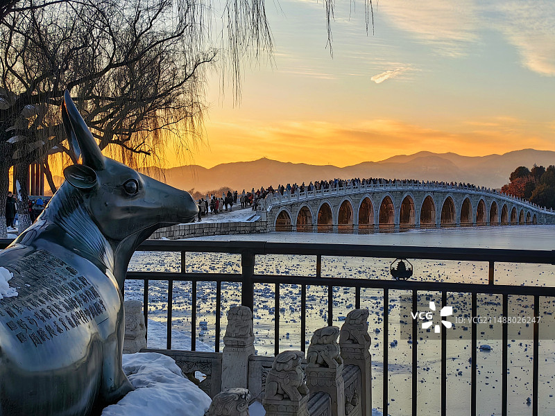 金牛回望图片素材