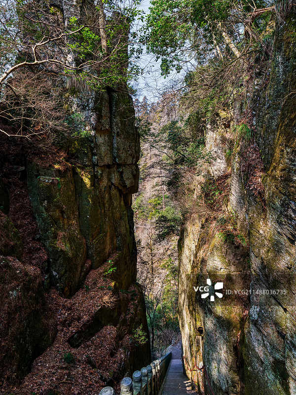 登山杭州临安天目山图片素材