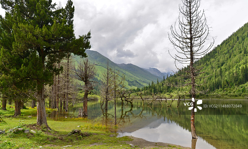 春天，迷人的四姑娘山景色，山谷中湖泊森林草滩景观图片素材