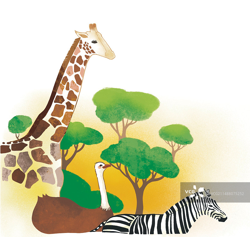 卡通动物长颈鹿斑马鸵鸟非洲大草原植物树木绿色彩色插图插画图片素材