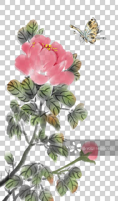写意牡丹图片素材