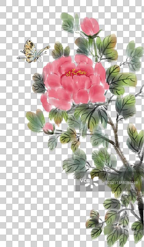 国画牡丹图片素材