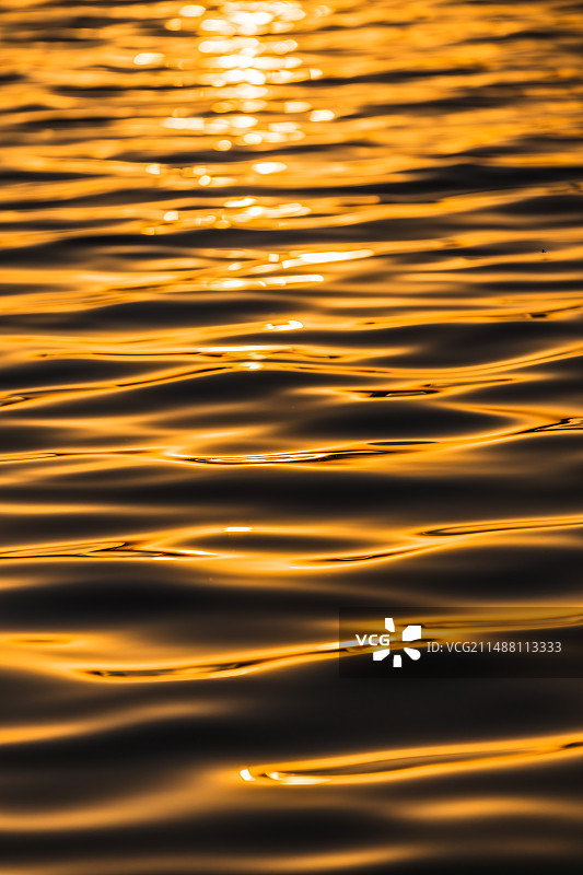 1/8000快门下的浮光跃金图片素材