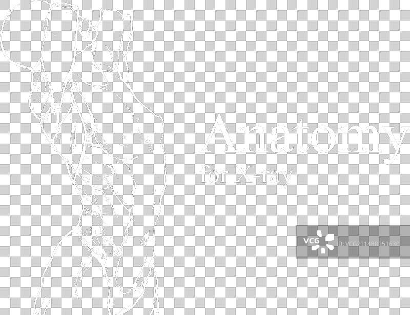 X光视图人体解剖图片素材