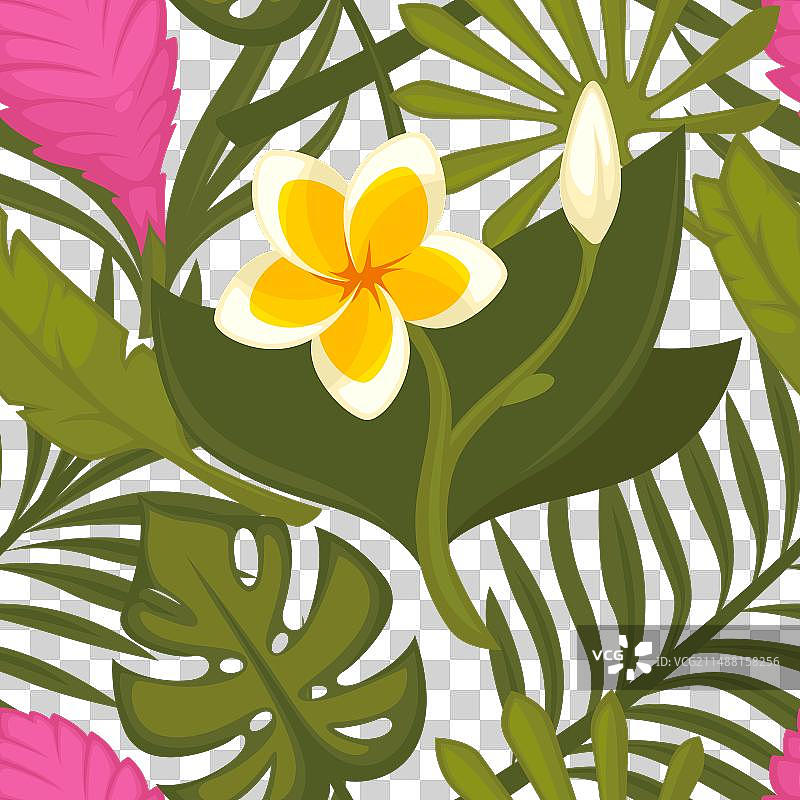 奇异花卉、树枝和叶子图片素材