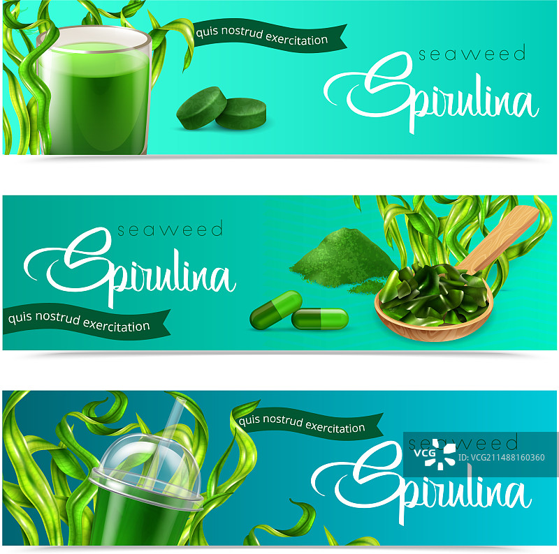 螺旋藻逼真横幅图片素材