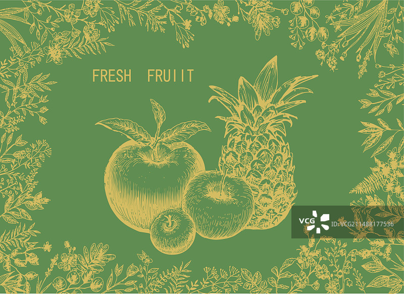 手绘风复古苹果菠萝插画花边装饰版画水果包装矢量图图片素材