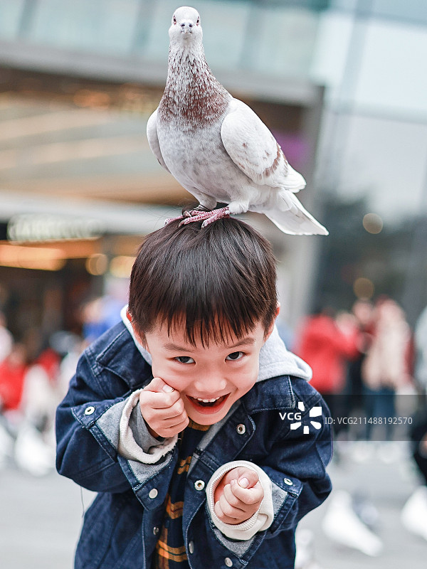 可爱的男孩在城市里喂鸽子图片素材