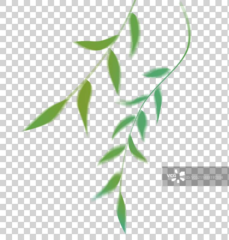 风吹动柳叶图片素材