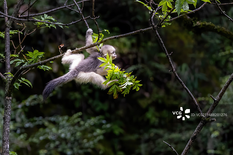 发现目标图片素材