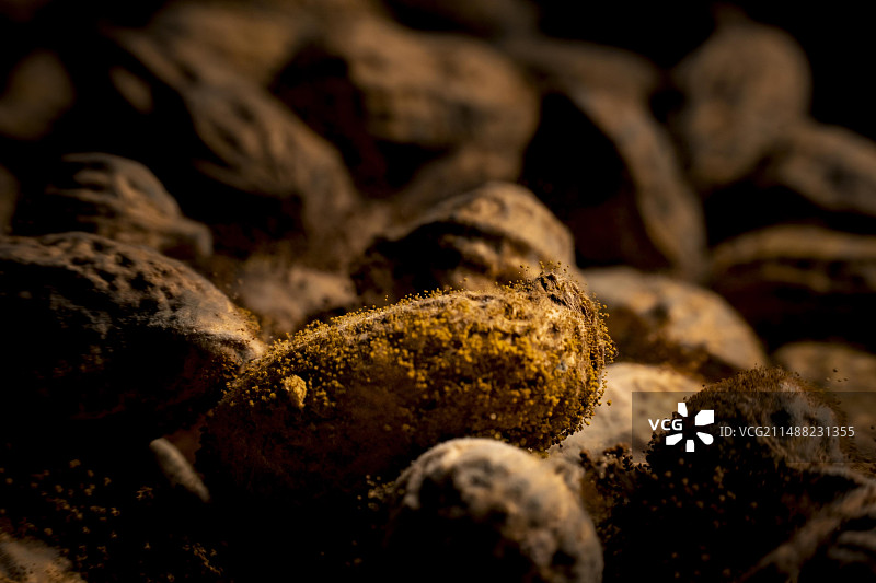 花生发霉菌生长食物图图片素材