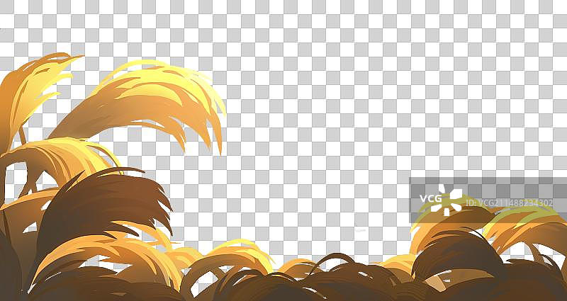 湖边芦苇前景素材图片素材