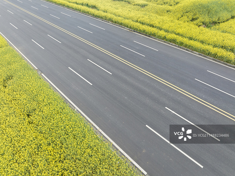 春天城市道路交通油菜花田自然风光图片素材