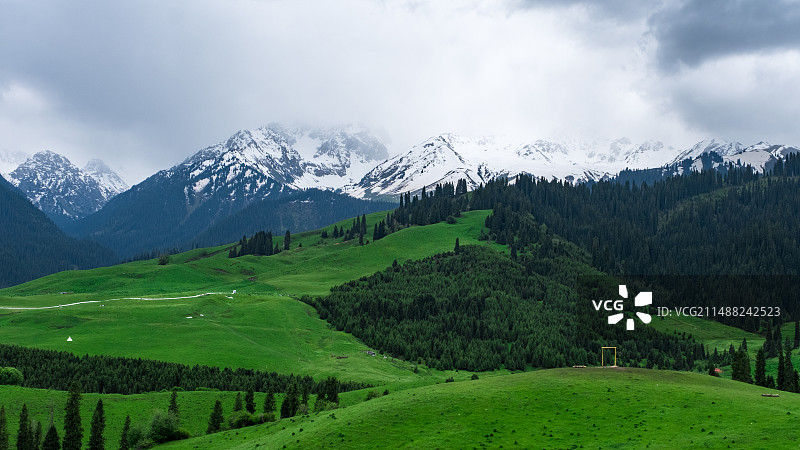 新疆伊犁恰西雪山森林草原风光图片素材