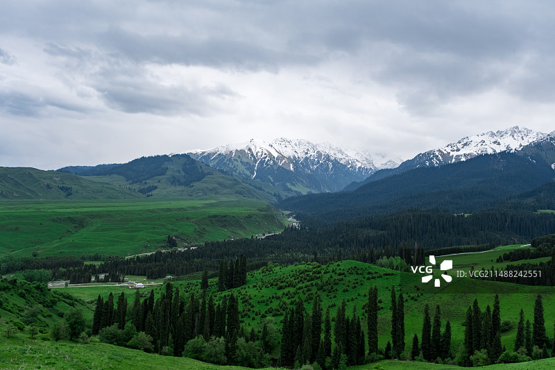 新疆伊犁恰西雪山森林草原风光图片素材