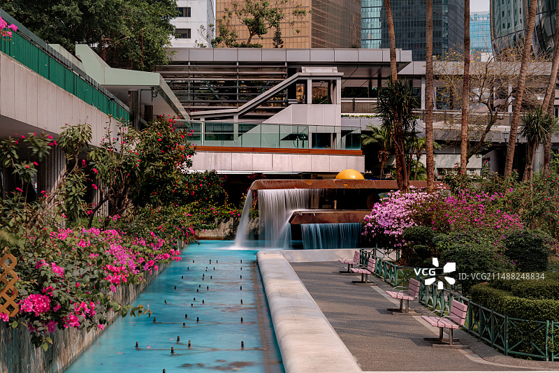 公园里的植物图片素材