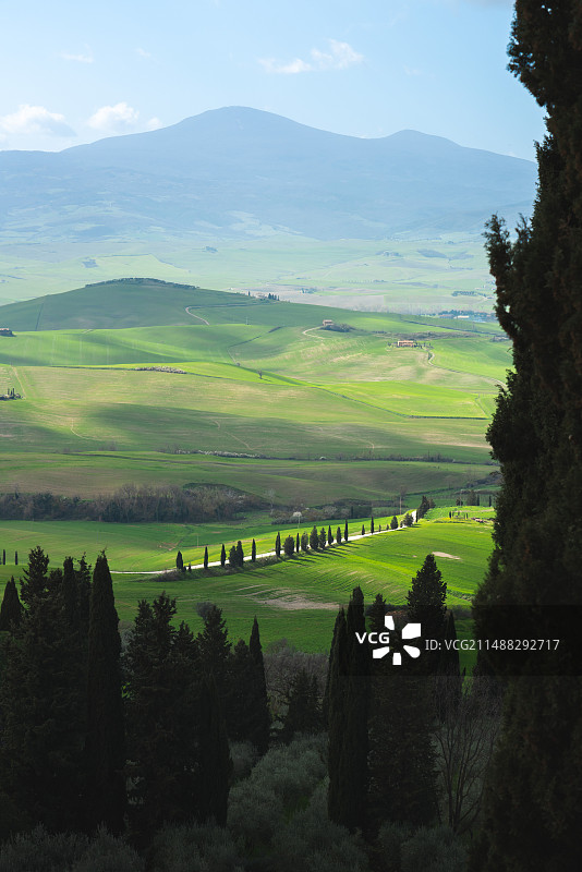 意大利托斯卡纳的春天图片素材