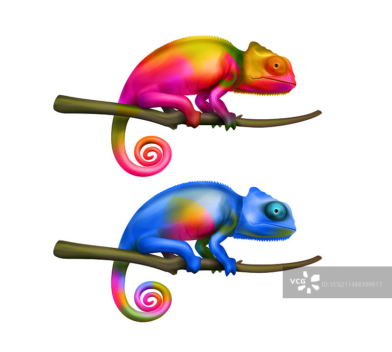彩色逼真变色龙素材图片素材